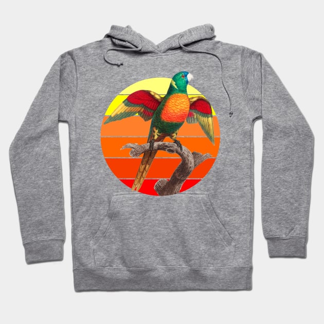 The Blue Headed Parrot retro sunset Hoodie by Geoji 